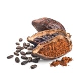 Cacao